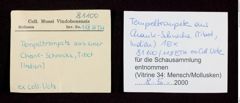 Etikett zu Tempeltrompete (Chank-Schnecke) (NHMW-ZOO-MO-0081100-ETH-118)